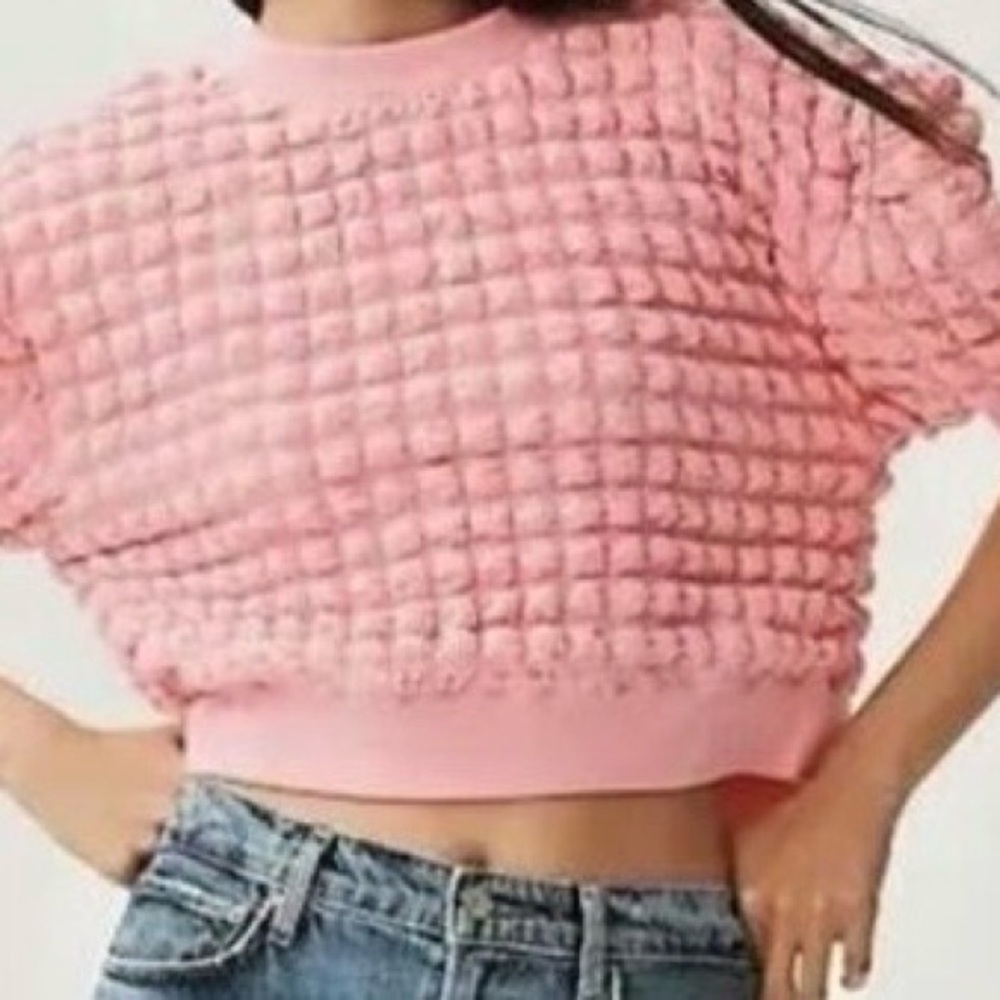 Anthropologie Pink Textured Crop Top NWT Women’s Size Small Short Sleeve - Picture 2 of 7